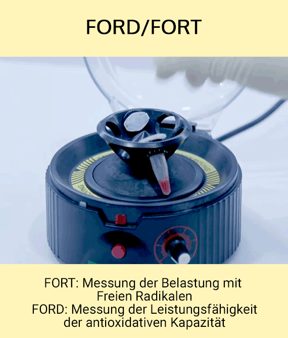 FORD/FORT Test