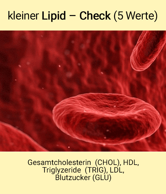 kleiner Lipid Check