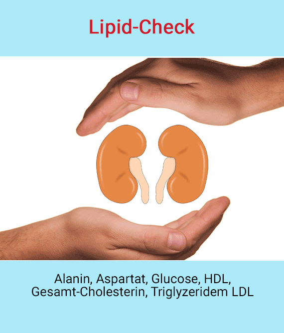 Lipid Check Termin